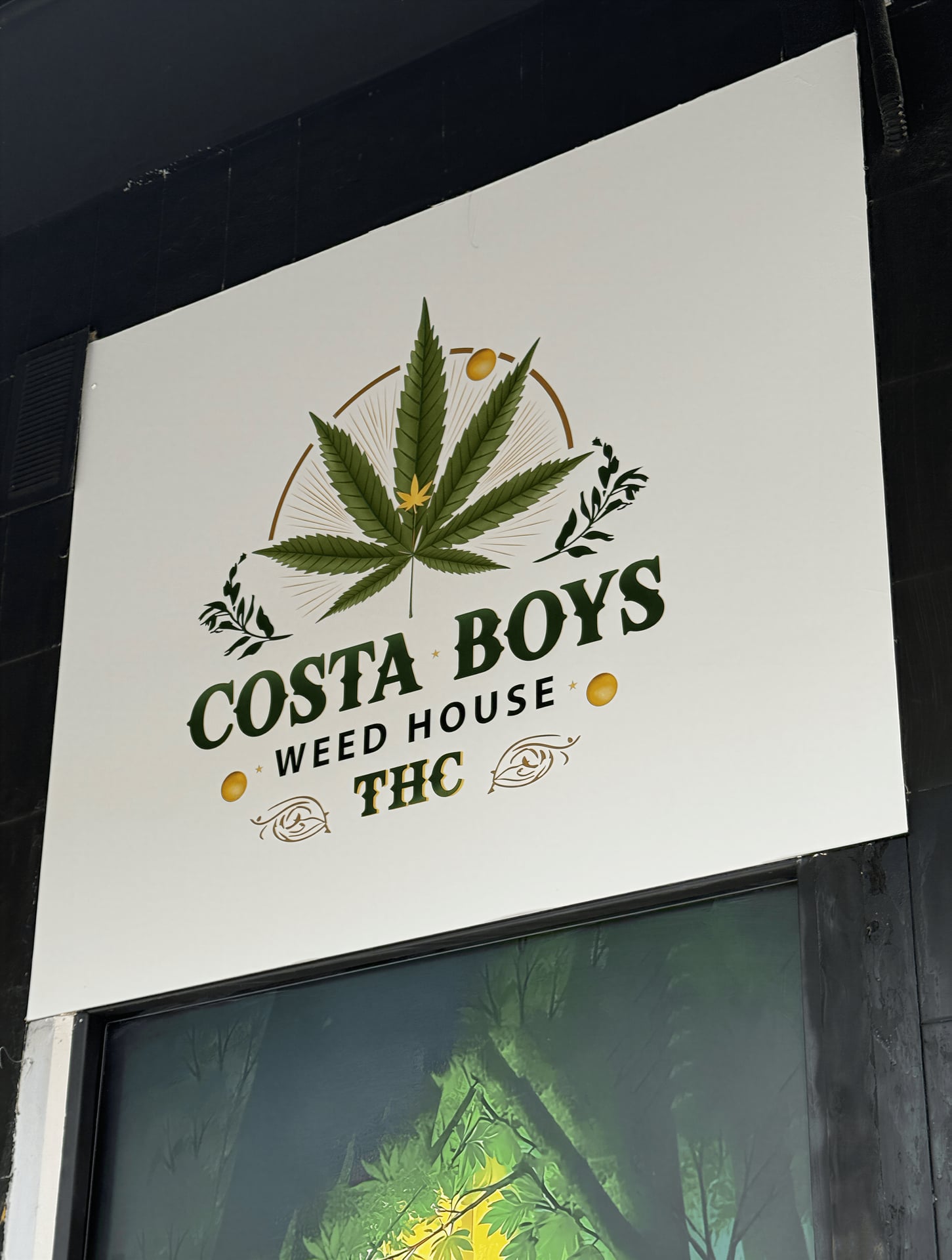 Costa Boys