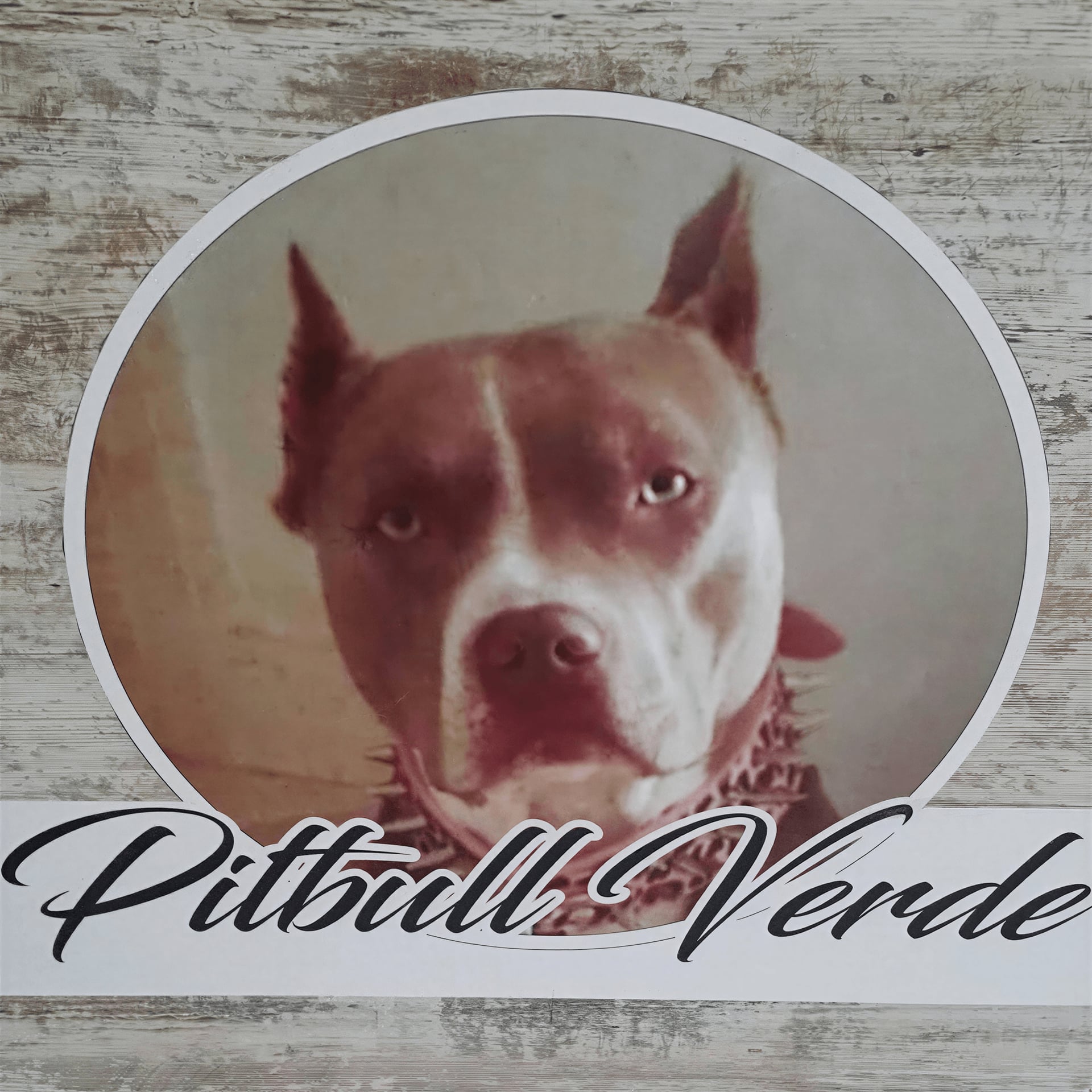 Pitbull Verde